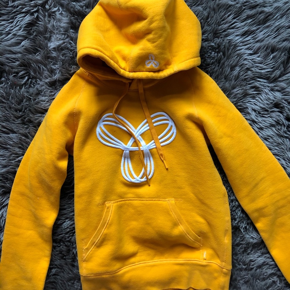 Aritzia tna hoodie